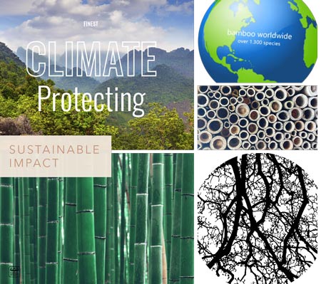 Nachhaltiger Moso Bambuswald